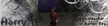 Harry_02.jpg