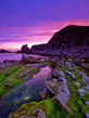 Voledar_Nature_081031.jpg