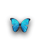 3d_Butterfly.jpg