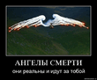 x_d2c4c578.jpg
