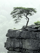 Voledar_Nature_08108.jpg
