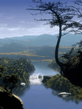 Voledar_Nature_081070.jpg