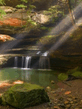 Voledar_Nature_42733.jpg