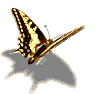 orin.png