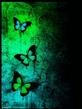 Butterfly123.jpg