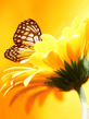 Butterfly9786.jpg