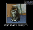 х