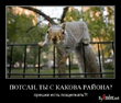 х