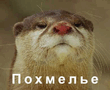 1_33.jpg