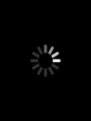 ssaver.gif
