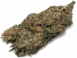 GANJA_76_.jpg