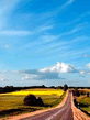 Voledar_Nature_25050.jpg