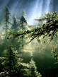 Voledar_Nature_4115.jpg