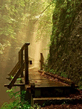 Voledar_Nature_95084.jpg