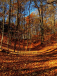 Voledar_Nature_osenp_250628.jpg