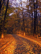 Voledar_Nature_osenp_290013.jpg