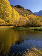 Voledar_Nature_osenp_35065.jpg