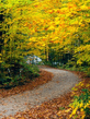 Voledar_Nature_osenp_43035.jpg