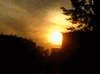 3_8199.gif