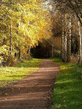 Voledar_Nature_407119.jpg