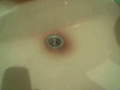 Image_0044_.jpg