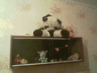 Image_0072_.jpg