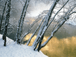 winter_wall002.jpg