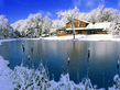 winter_wall009.jpg