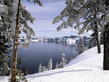 winter_wall010.jpg