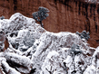 winter_wall013.jpg