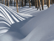 winter_wall016.jpg