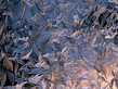 winter_wall022.jpg