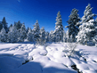 winter_wall023.jpg