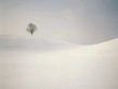 winter_wall025.jpg