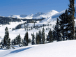 winter_wall038.jpg