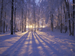 winter_wall042.jpg