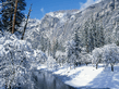 winter_wall030.jpg