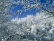 winter_wall031.jpg