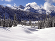 winter_wall035.jpg