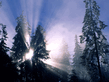 winter_wall039.jpg