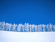 winter_wall040.jpg