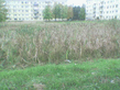Image_0104_.jpg