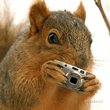 1191293433_994squirrel_shoots_back.jpg