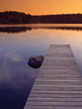 Voledar_Nature_107322.jpg