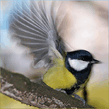 0_269d2_3d68ea57_L.jpg