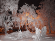 apollinarij_246117_L.jpg