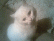 16092009_001_.jpg