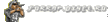 forrap2.png