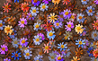53919217_01_2965_Digital_illustration_flowers.jpg
