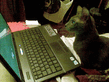 09032010_001_.jpg